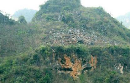 Một hang núi Chanh ẩn thân (ảnh tư liệu)