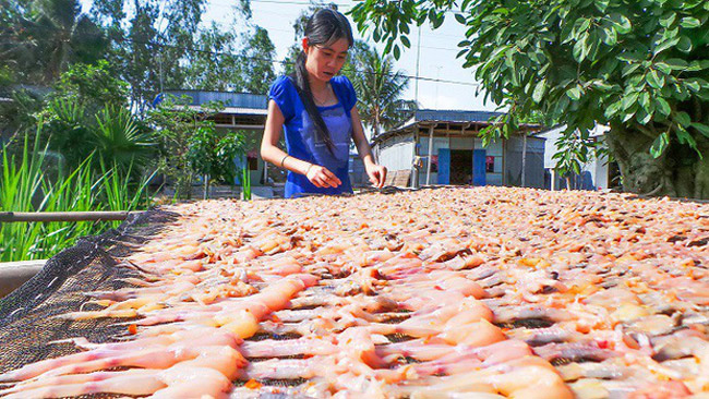 Nhái là một loài động vật hoang dã thường sống thành đàn và xuất hiện quanh năm trên đồng ruộng hoặc dưới chân núi, nhiều nhất là mùa mưa.&nbsp;
