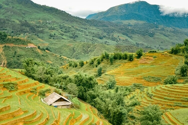 Cánh đồng lúa Sapa: Thị trấn nhỏ của Sapa là một địa điểm tuyệt vời để khám phá những ruộng bậc thang hùng vĩ của Việt Nam và tận mắt khám phá một trong những địa điểm đẹp nhất ở châu Á. 
