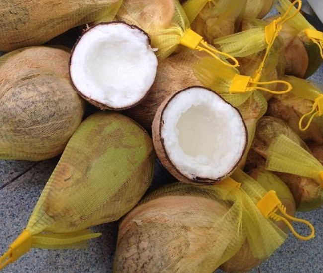 Dừa sáp có quả đặc ruột, cơm dừa khá dày, mềm dẻo, hương vị thơm và béo hơn các giống dừa bình thường khác. Nước dừa sáp thường đặc kẹo và trong như sương sa. Nước dừa có vị ngọt và thanh.
