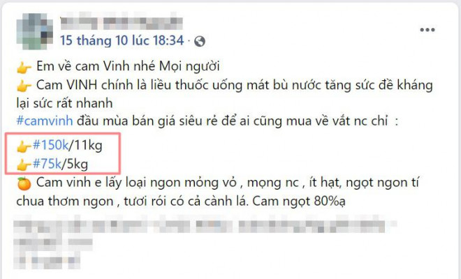 Ảnh chụp màn hình.