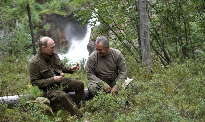 Tổng thống và Bộ trưởng Quốc phòng Nga đi hái nấm. Ông Putin được biết đến là một người rất am hiểu về các loại nấm