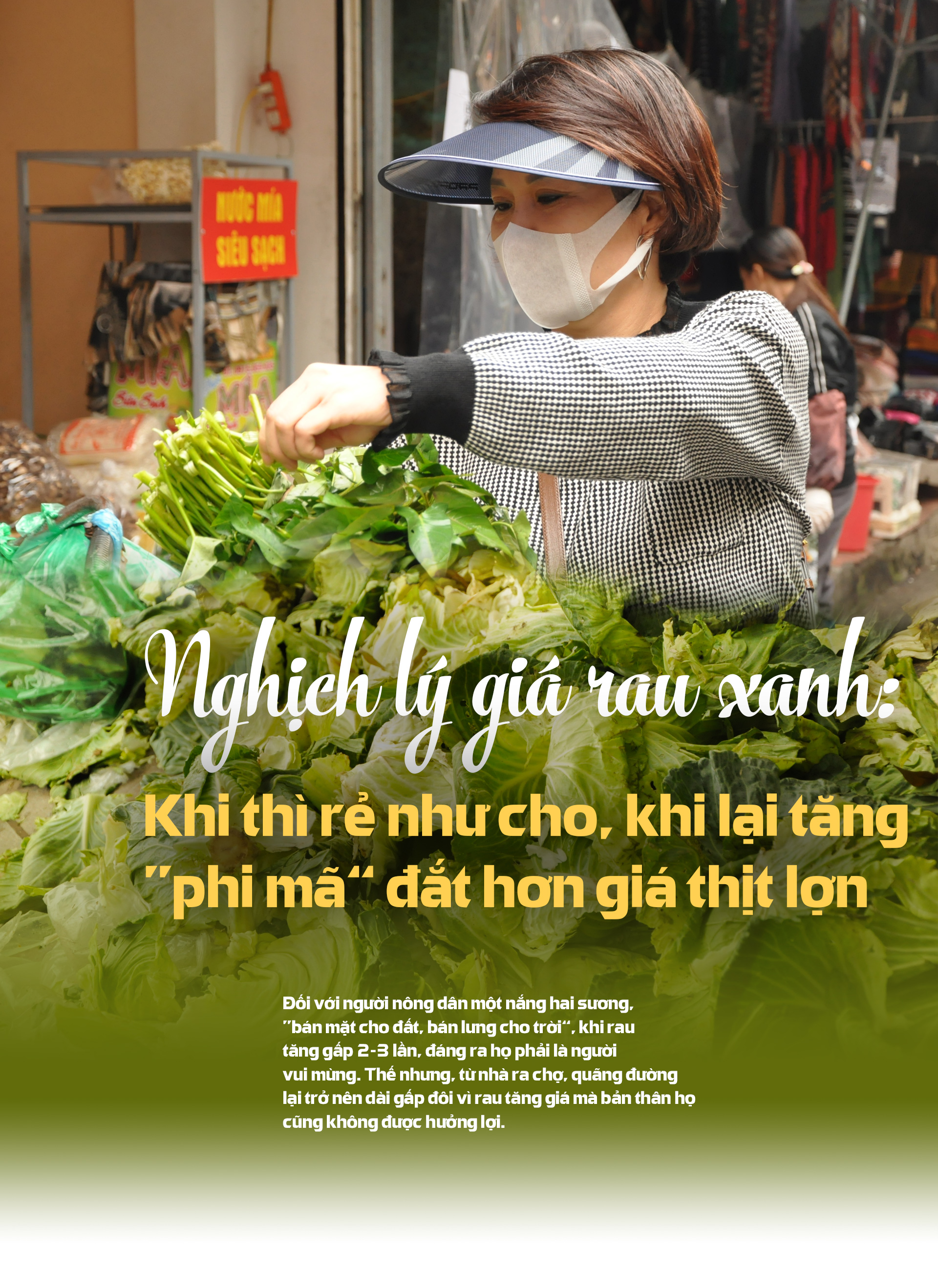 Giá rau đắt ngang thịt lợn, nông dân và thương lái đều không vui: Tại sao? - 1