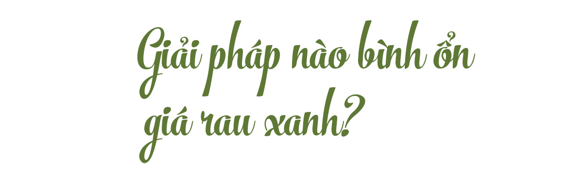 Giá rau đắt ngang thịt lợn, nông dân và thương lái đều không vui: Tại sao? - 14