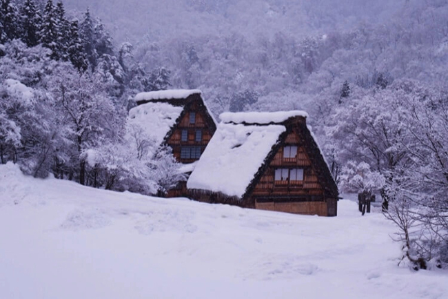 Shirakawa-go là một vùng nằm trong thung lũng sông Shogawa xa xôi ở tỉnh Gifu. Cùng với Gokayama, đây là Di sản Thế giới được UNESCO công nhận, nổi tiếng với những trang trại gassho-zukuri truyền thống và những mái nghiêng khác biệt.&nbsp;
