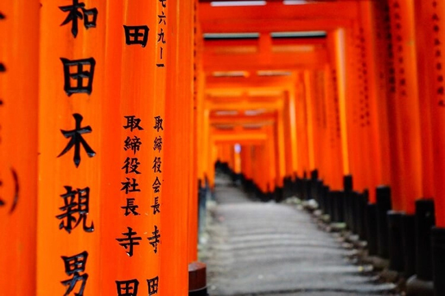 Fushi-Inari Taisha: Là đền thờ Thần đạo quan trọng nhất của Nhật Bản, Fushimi Inari có từ năm 711 sau Công nguyên và rất nổi tiếng với hàng nghìn cánh cổng torii màu đỏ nằm dọc theo những con đường mòn tuyệt đẹp lên núi Inari.
