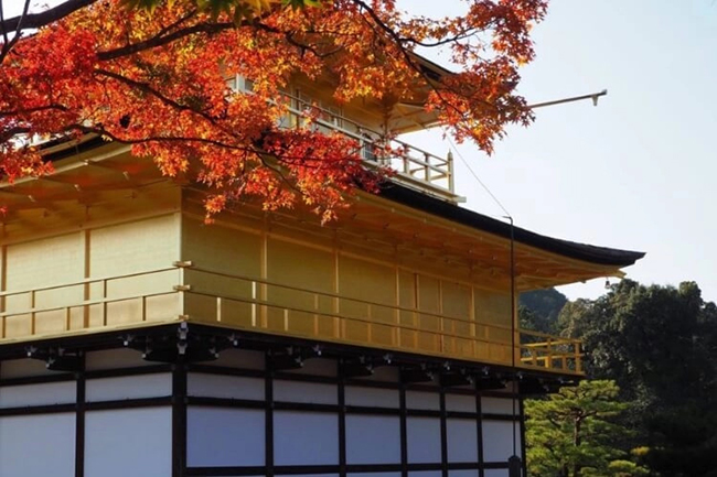 Kinkaku-ji: Kinkaku-Ji là một ngôi chùa tuyệt đẹp ở góc tây bắc của Kyoto và là di tích lịch sử hàng đầu của thành phố. Với 2 tầng trên cùng được dát vàng, nằm bên một hồ nước&nbsp;lấp lánh và được bao quanh bởi những khu vườn tuyệt đẹp, Kinkaku-Ji có&nbsp;khung cảnh đẹp như tranh vẽ, nhất là vào mùa thu.
