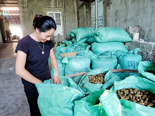 Mỗi ngày lò sấy nhà chị Hiền sấy được khoảng 1 tấn cau khô.