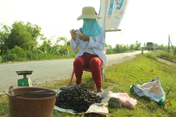 Khi thu hoạch xong, dân đem lên đường bán luôn, phần khác đem về các chợ quanh vùng để bán.