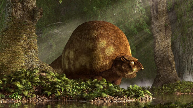 Glyptodon, một sinh vật khổng lồ đáng lẽ vẫn tồn tại trên Trái Đất nếu không có Homo sapiens - Ảnh: Daniel Eskridge