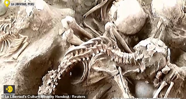 Các bộ xương được cho là quý tộc sống ở thời đế chế Chimu.