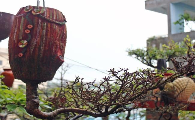 Năm 2020, hàng trăm tác phẩm cây cảnh loại bonsai mọc ngược độc đáo của ông đã được Tổ chức kỷ lục Việt Nam xác nhận Bằng kỷ lục &#34;Người tạo tác các tác phẩm Bonsai ngược nhiều nhất Việt Nam&#34;.
