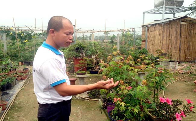 Lão nông Nguyễn Phú Cường ở Hà Nội cũng là người có bộ sưu tập cây độc nhất vô nhị tại Việt Nam.&nbsp;
