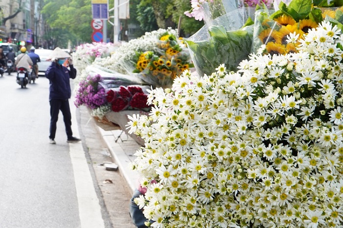 Thông thường, giá hoa đầu mùa sẽ cao hơi khi vào chính vụ do thời điểm đó, cúc họa mi chưa nở nhiều, không đủ đáp ứng nhu cầu mua lớn.