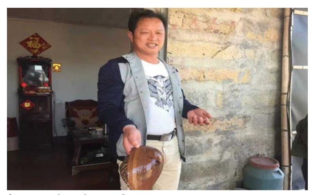 Zuo Zhang - một ngư dân ở Trung Quốc cũng từng bắt được con ốc giác bên trong có viên ngọc nặng khoảng 15,6g với đường kính 2 cm. 
