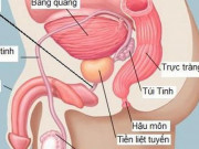 Sức khỏe đời sống - Căn bệnh nam giới U50 ai nghe cũng sợ, hãy thay đổi ngay 4 thói quen này, nếu có dấu hiệu cần được khám ngay