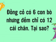 Bạn trẻ - Cuộc sống - Loạt câu đố khiến bao người phải toát mồ hôi