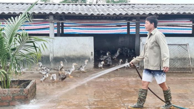 Ông Đoàn Văn Vươn giờ đây được nhiều người biết đến với thương hiệu “Vươn vịt biển”