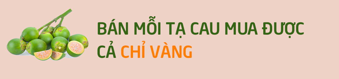 Trồng cau &#34;hái vàng&#34;: Nông dân hứng khởi trong cơn &#34;say tiền&#34; - 2