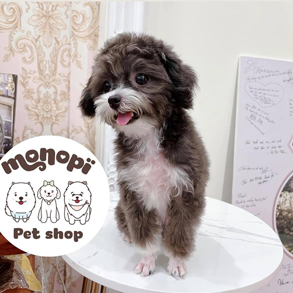 Nên tiêm phòng đầy đủ cho bé cưng để bé luôn khỏe mạnh&nbsp;