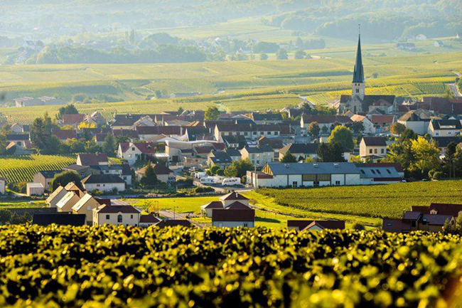 Thị trấn Champagne-Ardenne: Hãy ghé qua vùng Champagne-Ardenne nổi tiếng của Pháp, một nơi đầy mê hoặc với những ngôi làng cổ kính, vườn nho trải dài và rượu sâm panh trong mọi thực đơn. 
