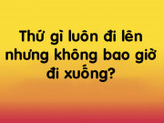 Bạn trẻ - Cuộc sống - 6 bài quiz giúp chọn ra những người xuất sắc