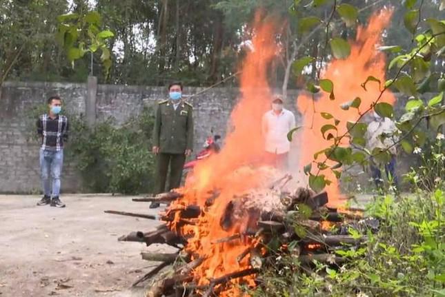 Con hổ chết được tiêu huỷ.