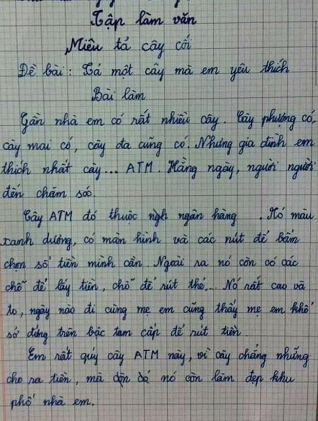 Bài văn tả cái cây của học sinh lớp 3 khiến cô giáo "đứng hình", đọc tên cây mà nhiều người lớn sững sờ - 1