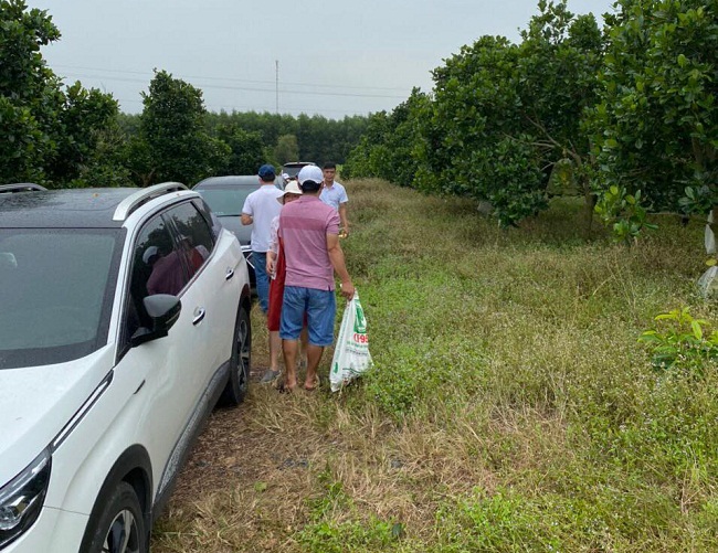 Lượng nhà đầu tư đổ về Bà Rịa - Vũng Tàu săn đất ngày càng nhiều