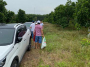 Kinh doanh - Đất nền lên cơn sốt, nhiều nhà đầu tư chưa cần đi xem đã nhanh tay chốt cọc