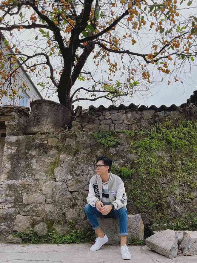 Cây hồng trăm tuổi ở Ninh Bình nhìn như bối cảnh Hàn Quốc thu hút giới trẻ check in - 12