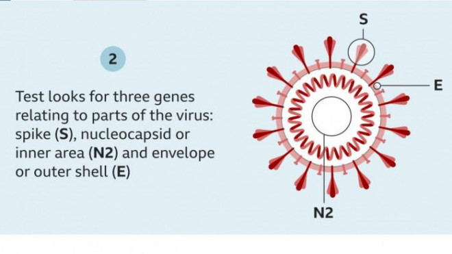 Để phát hiện chính xác nhiễm biến chủng Omicron hay không phải thực hiện xét nghiệm PCR và gửi mẫu phẩm về giải trình gen. Ảnh - BBC