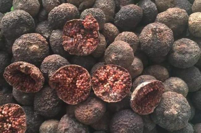 Sau khi được sấy khô, sung nếp sẽ được rao bán trên chợ mạng với giá khá cao, dao động từ 190 - 200 nghìn đồng/kg.
