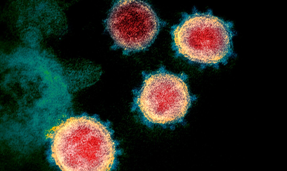 Biến thể Omicron mang ít nhất một đột biến ở dạng lai với virus khác, nghiên cứu cho hay (ảnh: Reuters)