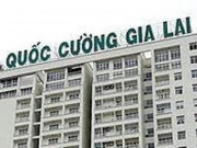 Tin tức trong ngày - Vì sao không xử lý hình sự Tổng giám đốc Quốc Cường Gia Lai vụ mua rẻ 32 ha đất công?