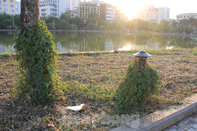 Liên quan đến dự án công viên hồ điều hòa Mai Dịch, Sở Xây dựng Hà Nội đã có văn bản đôn đốc các đơn vị liên quan thực hiện duy trì hệ thống cây xanh, vệ sinh môi trường khu vực công viên này.