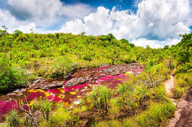 Nằm trong công viên tự nhiên quốc gia Sierra de La Macarena ở Colombia, con sông tuyệt đẹp này được đặt biệt danh là 'sông ngũ sắc'. Caño Cristales được coi là một trong những con đường thủy đẹp nhất trên thế giới và trong vài tháng mỗi năm, nó rực rỡ với các màu sắc xen kẽ của hồng, xanh lá cây, vàng, xanh lam và đen. 
