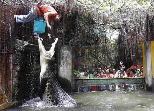 Ngoan thì tí lại cho ăn tiếp nhé.
