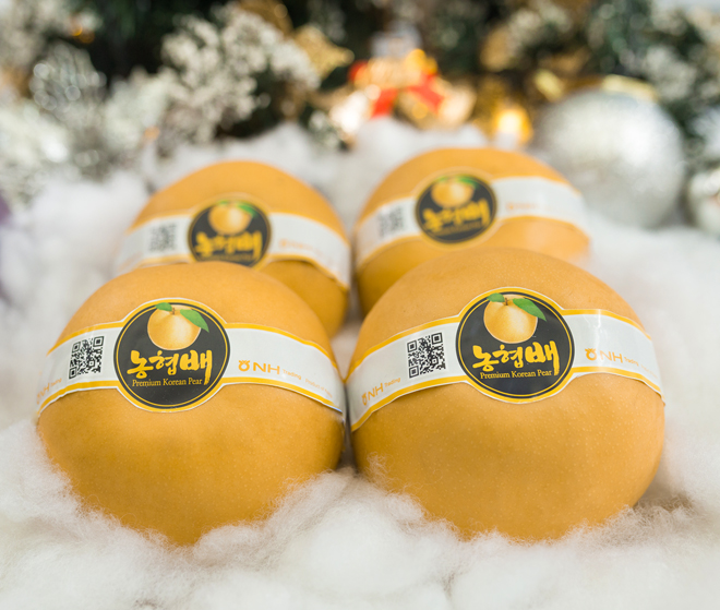 Những trái lê Hàn Quốc to, tròn, thơm ngon là kết quả của quá trình chăm sóc tỉ mỉ