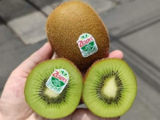 Thị trường - Tiêu dùng - Kiwi nhập khẩu bất ngờ rẻ chưa từng có, chỉ 39.000 đồng/kg, cửa hàng bán cả tạ mỗi ngày