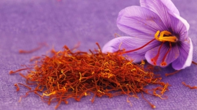 Được biết đến với tên gọi &#34;vàng đỏ&#34;, nhụy hoa nghệ tây (saffron) là một trong những món quà Tết được giới nhà giàu “săn lùng” nhiều nhất trong dịp năm mới.
