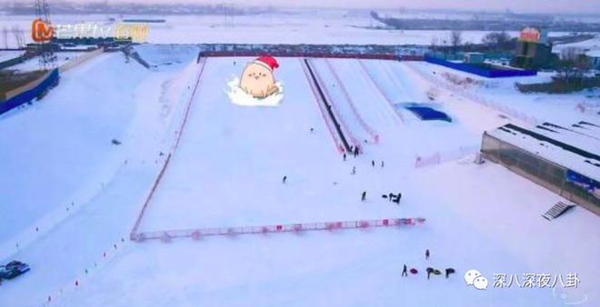 Để chiều con, vợ chồng Huỳnh Thánh Y còn xây riêng một khu trượt tuyết.