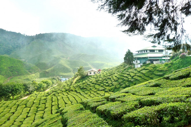 Những điểm đến tuyệt đẹp tại Malaysia cho kỳ nghỉ dài ngày đáng nhớ - 16