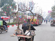 Tin tức trong ngày - Thủ tướng chỉ đạo không để người dân thiếu phương tiện về quê dịp Tết