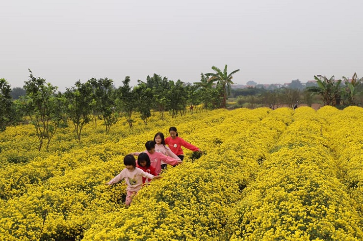 Vườn hoa đẹp có vé vào chụp ảnh là 50.000 đồng/người, nếu mua hoa cúc thì không mất tiền vào chụp ảnh. (Ảnh: Kim Thanh).