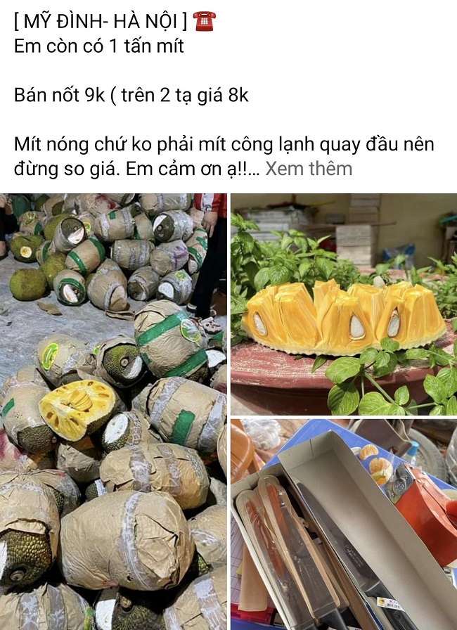 Mít được rao bán trên chợ online với giá chỉ từ 8.000 đồng/kg khi mua từ 2 tạ. (Ảnh chụp màn hình).