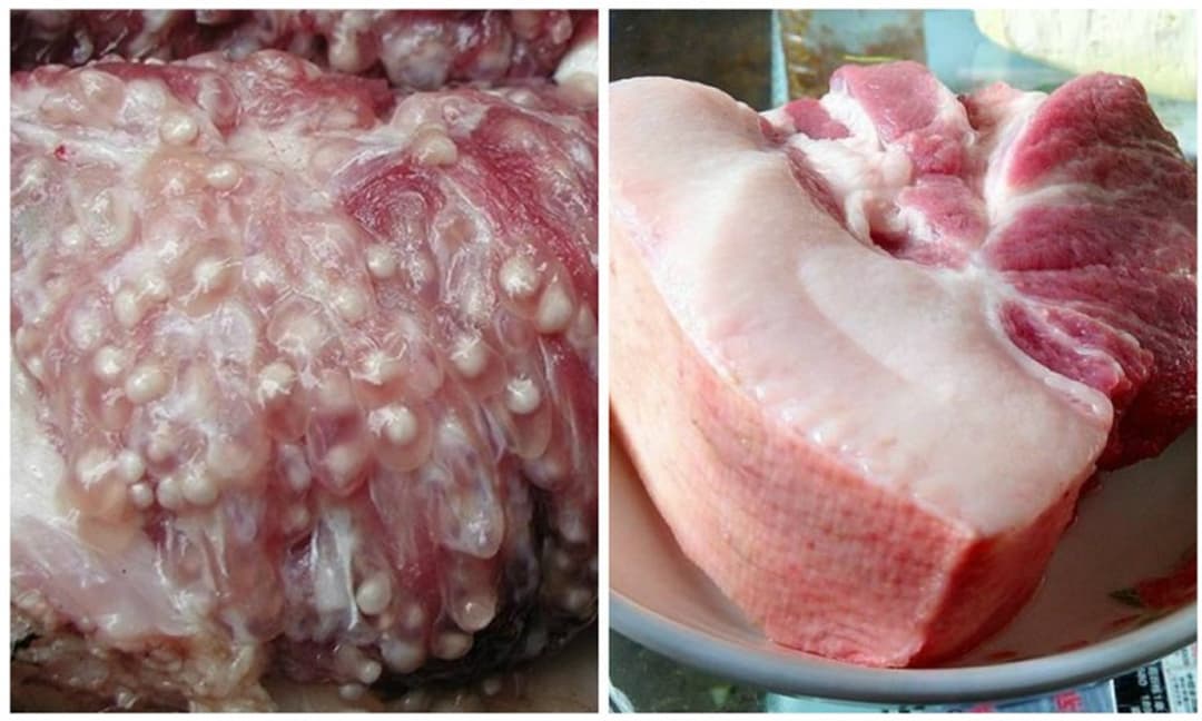 Ăn ít đi 5 bộ phận này của con lợn, tuổi thọ chắc chắn được kéo dài - 6