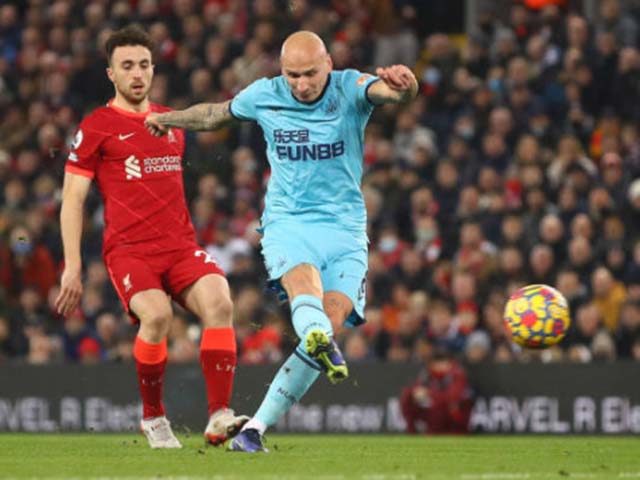 Cú sút xa đẳng cấp của&nbsp;Shelvey