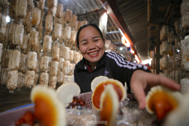 Ông Nguyễn Văn Ninh (Chủ tịch UBND xã Tân Lâm Hương) cho biết, nghề trồng nấm ở địa phương cho thu nhập khá cao, tạo công việc cho nhiều nhà nông. Hiện người dân đang tất bật tăng gia, mở rộng thêm số lượng sản xuất để phục vụ Tết.