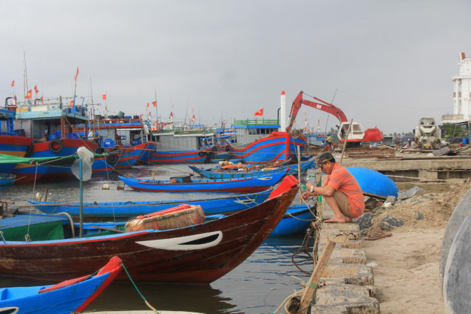 Ngư dân tại xã Tam Quang, huyện Núi Thành, tỉnh Quảng Nam neo đậu tàu thuyền để tránh bão